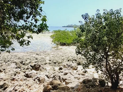 Land for sale in Mtwapa, Kilifi County