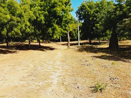 Land for sale in Kikambala, Kilifi County