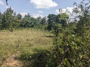 Land in Ruai, Nairobi - thumbnail 3