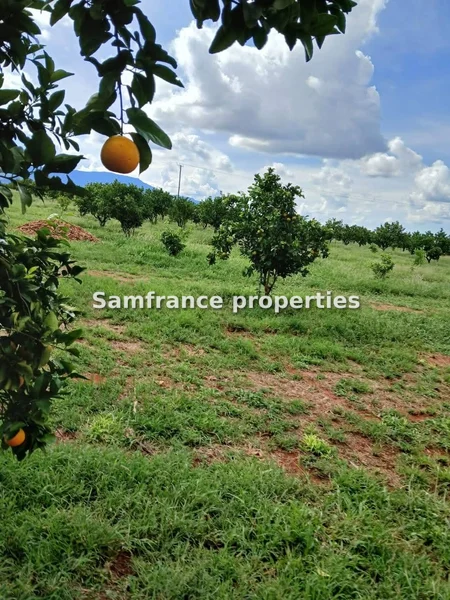 Commercial Land for sale in Taita-Taveta