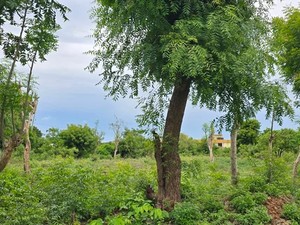 Land for sale in Mtwapa, Kilifi County