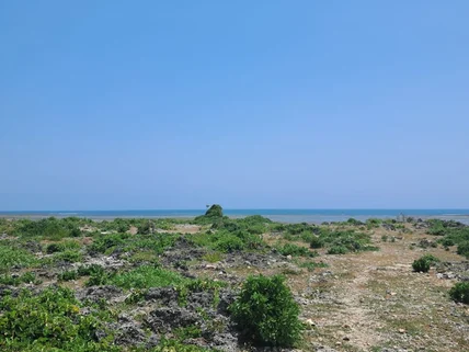 Land for sale in Watamu, Kilifi County
