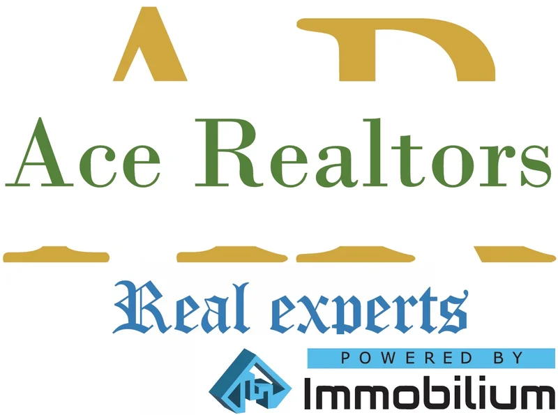 Ace Realtors Limited