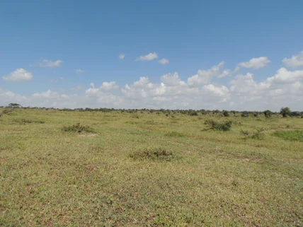 Land for sale in Kajiado County