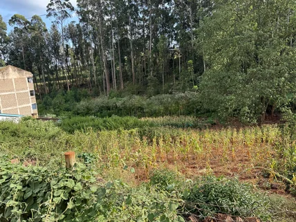 Land for sale in Nyeri