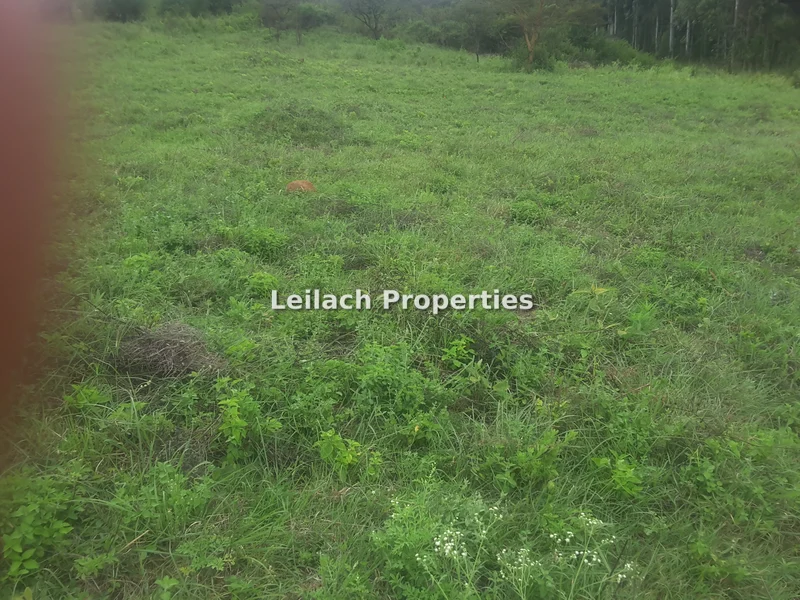 Land for sale in Ngong