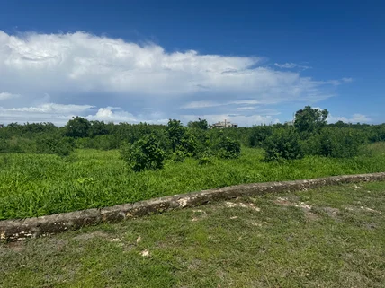 Land for sale in Vipingo, Kilifi County
