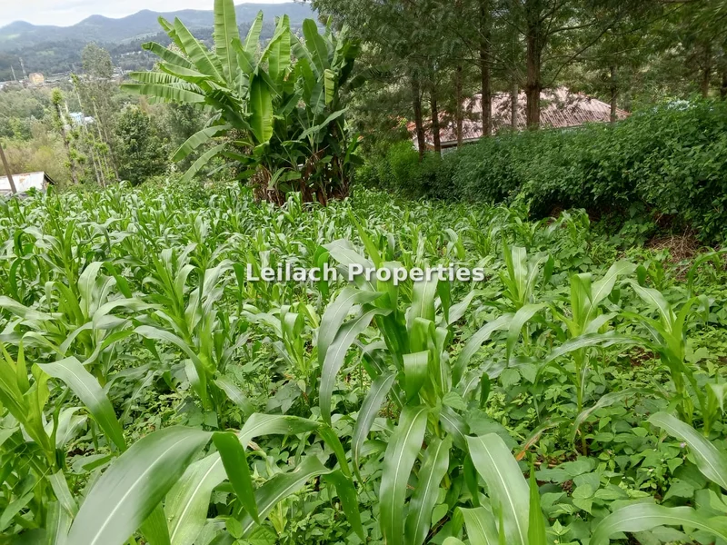 Residential Land for sale in Ngong