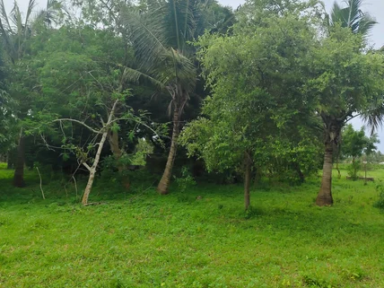 Land for sale in Vipingo, Kilifi County