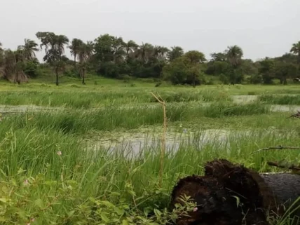 Land for sale in Diani, Kwale County