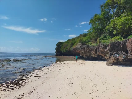 Land for sale in Vipingo, Kilifi County