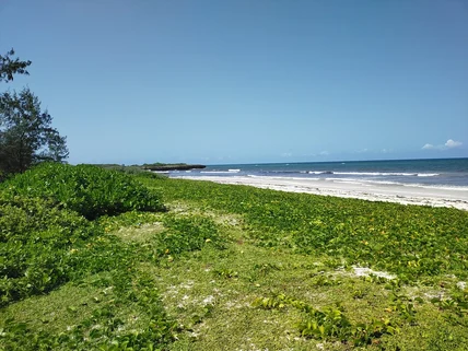 Land for sale in Bofa, Kilifi County