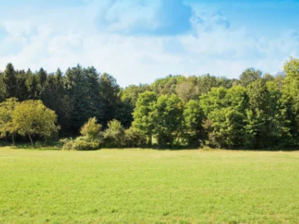 Commercial Property for sale in Spring Valley, Westlands
