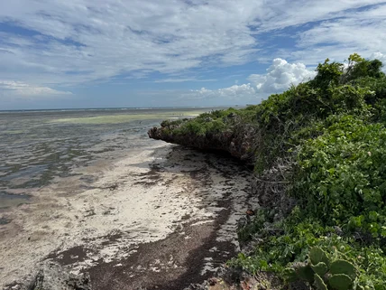Land for sale in Watamu, Kilifi County