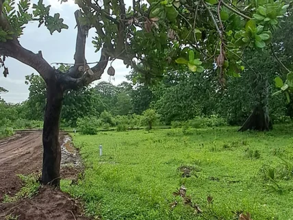 Land for sale in Vipingo, Kilifi County