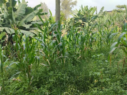 Residential Land for sale in Karen, Nairobi