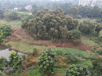 3-bedroom Apartment for rent in Rosslyn, Westlands