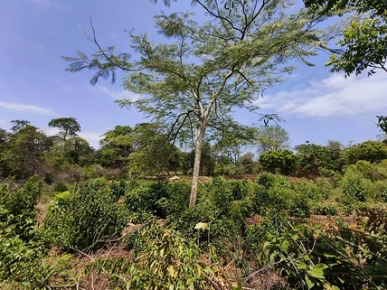 Residential Land for sale in Diani, Kwale County