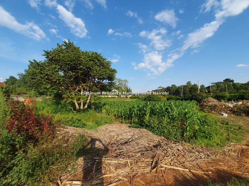 Land for sale in Nyari