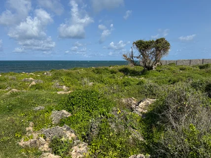Land for sale in Watamu, Kilifi County
