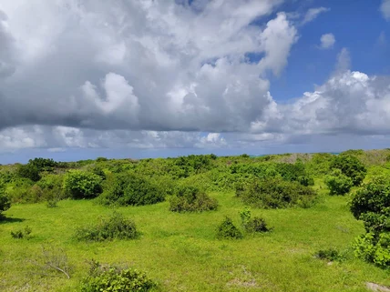 Land for sale in Watamu, Kilifi County