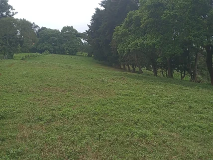 Residential Land for sale in Redhill, Kiambu County