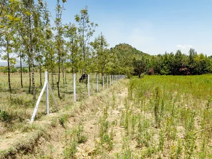 Land for sale in Naivasha, Nakuru County