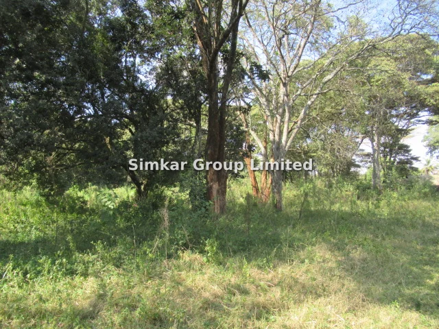 Land for sale in Karen Hardy