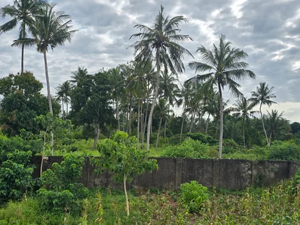 Land for sale in Kikambala, Kilifi County