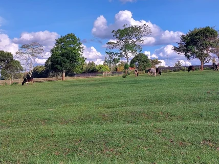 Land for sale in Tigoni, Limuru