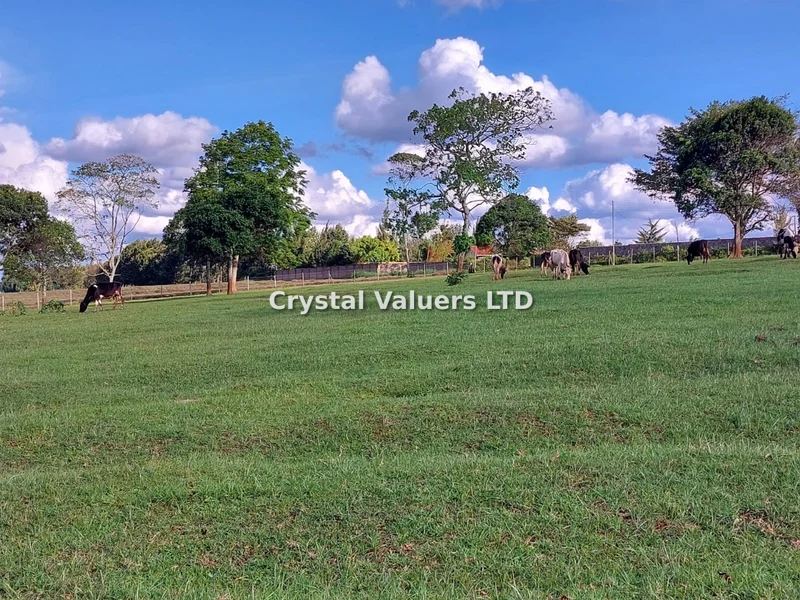 Land for sale in Tigoni