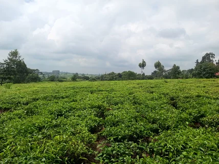 Land for sale in Tigoni, Limuru