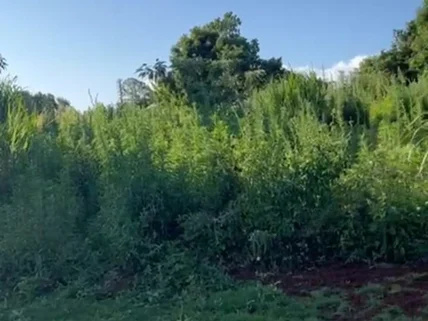 Land for sale in Tigoni, Limuru