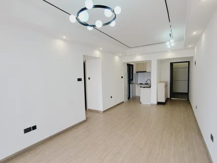 2-bedroom Apartment for rent in Kilimani, Nairobi