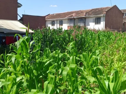 Land for sale in South B, Nairobi