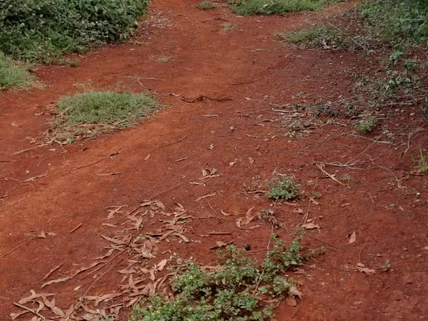 Land for sale in Nanyuki, Laikipia
