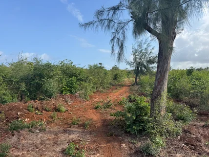 Land for sale in Kilifi, Kilifi County