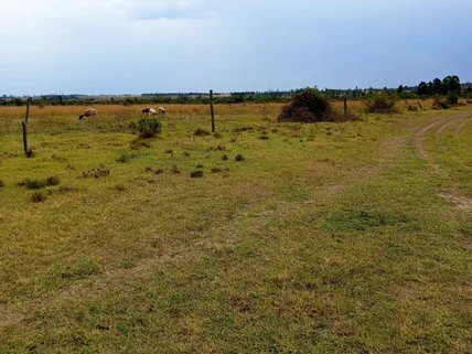 Land for sale in Nanyuki, Laikipia