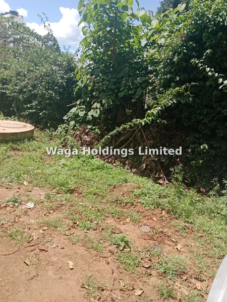 Land for sale in Thindigua