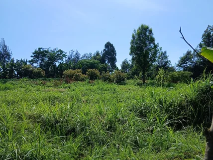 Land for sale in Kikuyu Town, Kikuyu