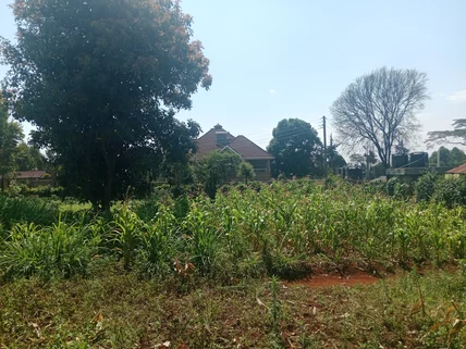 Land for sale in Ngecha, Limuru