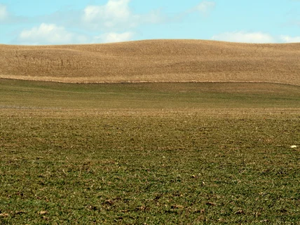 Land for sale in Kitengela, Kajiado County