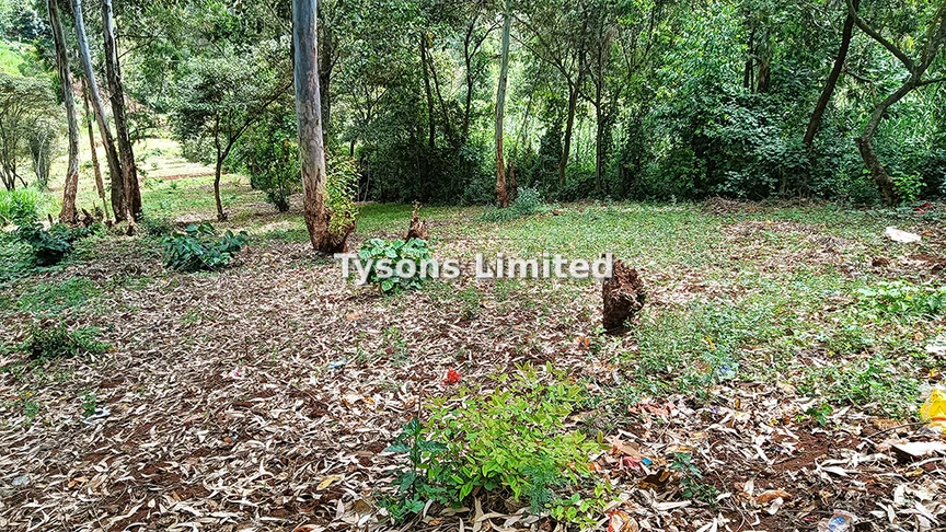 Land for sale in Ruaka
