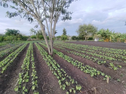 Residential Land for sale in Athi River, Machakos County