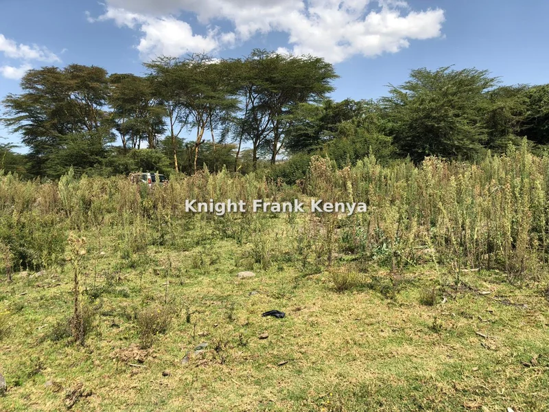 Land for sale in Naivasha