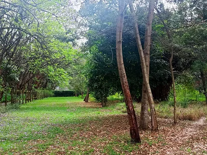 Land for sale in Karen, Nairobi