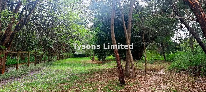 Land for sale in Karen