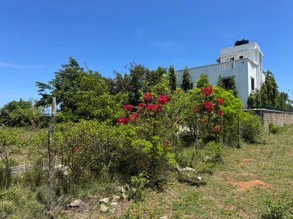 Land for sale in Vipingo, Kilifi County