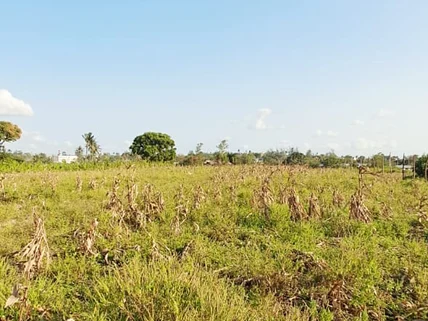 Land for sale in Kilifi, Kilifi County