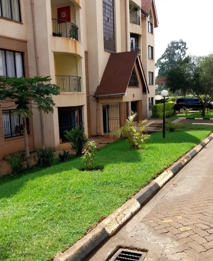 Loresho 3 bedrooms plus dsq to let